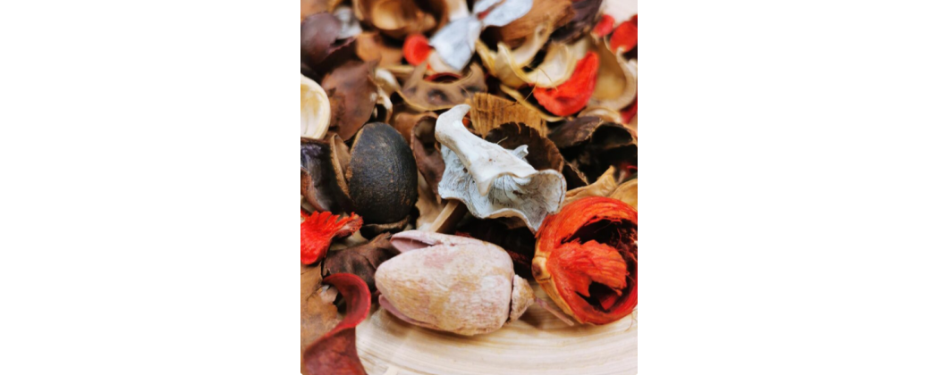 Frutos de Casca Rija