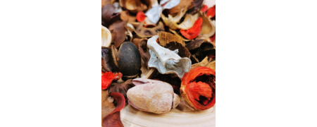 Frutos de Casca Rija