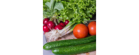 Vegetais Frescos
